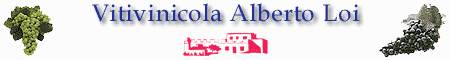 Vitivinicola Alberto Loi
